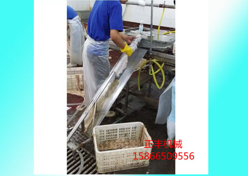 翻大腸清洗機
